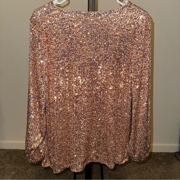 NWT Cable & Gauge Women’s Dusty Pink Sequence Long Sleeve Blouse Size Large - Picture 3 of 5